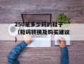 Up Juniors（青春的力量，激发无限可能）