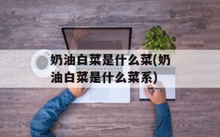 奶油白菜是什么菜(奶油白菜是什么菜系)