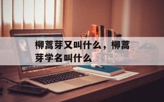 柳蒿芽又叫什么，柳蒿芽学名叫什么