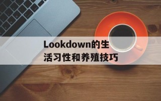 wodota背景音乐（游戏玩家必备的音乐推荐）