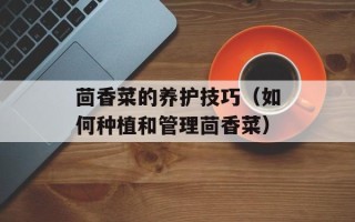 胡萝卜木耳能一起吃吗，胡萝卜木耳能一起炒牛肉吗
