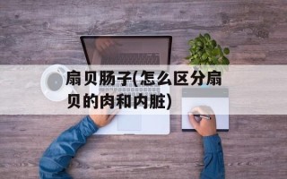 扇贝肠子(怎么区分扇贝的肉和内脏)