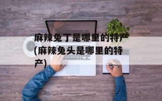 麻辣兔丁是哪里的特产(麻辣兔头是哪里的特产)