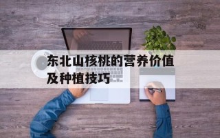 智器T30（智能家居领域的新品推荐）