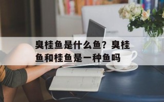 臭桂鱼是什么鱼？臭桂鱼和桂鱼是一种鱼吗