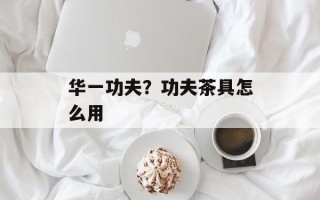 华一功夫？功夫茶具怎么用