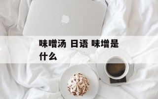 味噌汤 日语 味增是什么