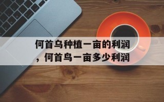 何首乌种植一亩的利润，何首鸟一亩多少利润