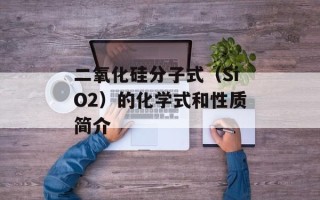 玫丽网怎么样（用户对玫丽网的评价和使用体验）