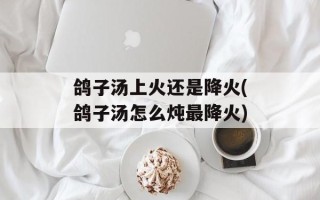 鸽子汤上火还是降火(鸽子汤怎么炖最降火)