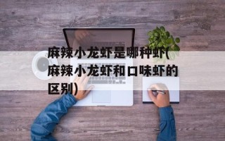 麻辣小龙虾是哪种虾(麻辣小龙虾和口味虾的区别)