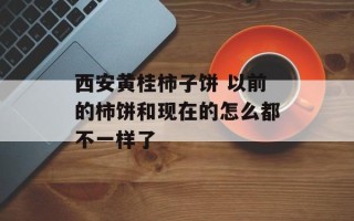 西安黄桂柿子饼 以前的柿饼和现在的怎么都不一样了