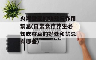 火烤蚕豆的功效与作用禁忌(日常食疗养生必知吃蚕豆的好处和禁忌有哪些)