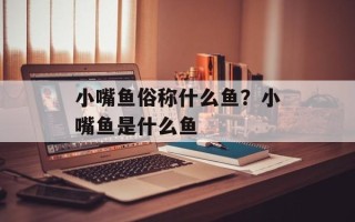 小嘴鱼俗称什么鱼？小嘴鱼是什么鱼
