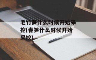 毛竹笋什么时候开始采挖(春笋什么时候开始采挖)