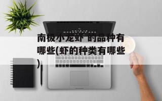 南极小龙虾 的品种有哪些(虾的种类有哪些)