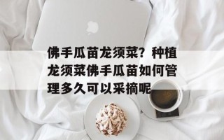 佛手瓜苗龙须菜？种植龙须菜佛手瓜苗如何管理多久可以采摘呢