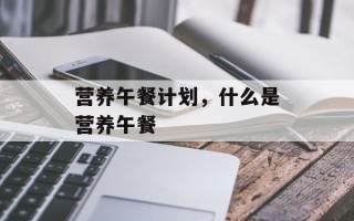 营养午餐计划，什么是营养午餐