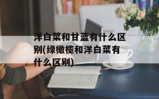 洋白菜和甘蓝有什么区别(绿橄榄和洋白菜有什么区别)