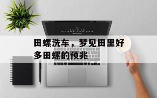 田螺洗车，梦见田里好多田螺的预兆