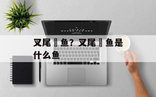 叉尾鮰鱼？叉尾鮰鱼是什么鱼