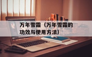张向北（一个年轻有为的创业者）