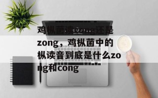 鸡枞菌读cong还是zong，鸡枞菌中的枞读音到底是什么zong和cong