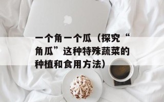 天天向上周怡唱歌（感受周怡的音乐魅力）