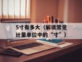 lb是什么键（解释lb键的作用和用途）