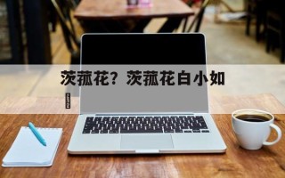 茨菰花？茨菰花白小如蓱