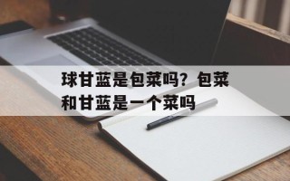 球甘蓝是包菜吗？包菜和甘蓝是一个菜吗