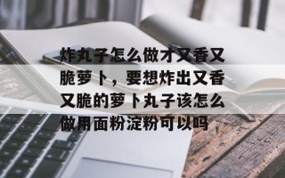 炸丸子怎么做才又香又脆萝卜，要想炸出又香又脆的萝卜丸子该怎么做用面粉淀粉可以吗