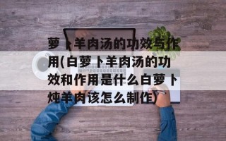 萝卜羊肉汤的功效与作用(白萝卜羊肉汤的功效和作用是什么白萝卜炖羊肉该怎么制作)