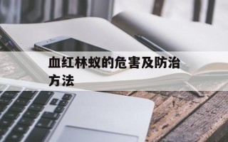 蒙牛高钙牛奶和纯牛奶哪个比较好，蒙牛高钙牛奶和纯牛奶哪个比较好