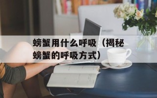 营养小吃的做法大全集，营养小吃的做法大全集