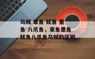 乌贼 章鱼 鱿鱼 墨鱼 八爪鱼，章鱼墨鱼鱿鱼八爪鱼乌贼的区别