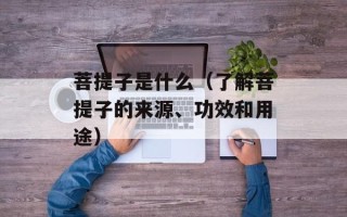 自家卤川味卤料的用法，自家卤川味卤料怎样用