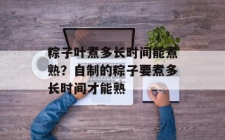 粽子叶煮多长时间能煮熟？自制的粽子要煮多长时间才能熟
