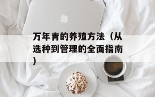张娜拉整容真相揭秘（详细解析张娜拉整容前后的变化）