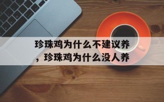 珍珠鸡为什么不建议养，珍珠鸡为什么没人养