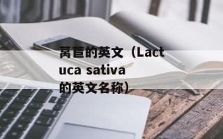 自制汽水化学实验报告，自制汽水三种必备原料