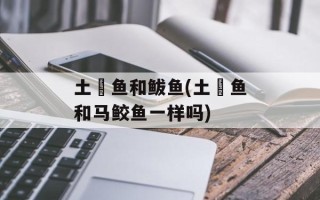 土魠鱼和鲅鱼(土魠鱼和马鲛鱼一样吗)