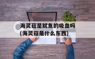 海灵菇是鱿鱼的吸盘吗(海灵菇是什么东西)