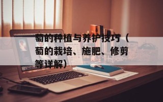 自己家做麻辣烫的做法，自己家做麻辣烫方法窍门