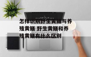 怎样识别野生黄鳝与养殖黄鳝 野生黄鳝和养殖黄鳝有什么区别
