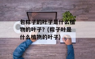 包粽子的叶子是什么植物的叶子？(粽子叶是什么植物的叶子)