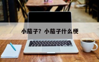 小茄子？小茄子什么梗