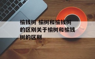 榆钱树 榆树和榆钱树的区别关于榆树和榆钱树的区别
