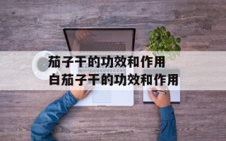 茄子干的功效和作用 白茄子干的功效和作用