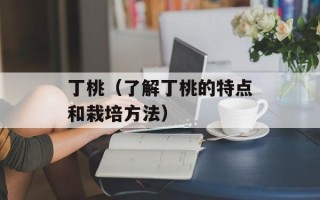 幸福那么近又那么远（探讨幸福的真正意义与实现方法）